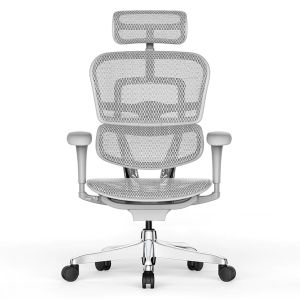 Chaise de bureau ergonomique - Confort - 7770 - Sitek